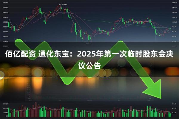 佰亿配资 通化东宝：2025年第一次临时股东会决议公告