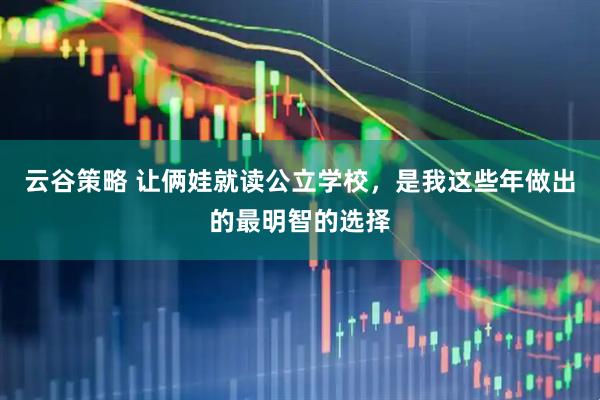 云谷策略 让俩娃就读公立学校，是我这些年做出的最明智的选择